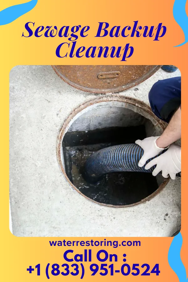 Sewage Backup Cleanup in Ponderay, ID